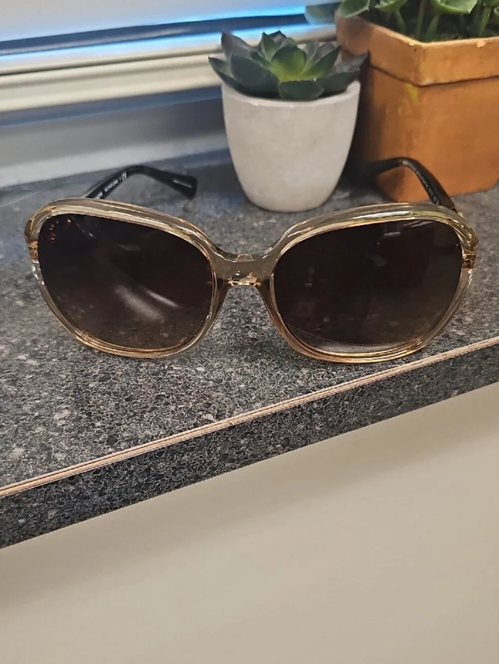 Coach Brown Gradient Oversized Women’s Sunglasses with Gold Accents HC 8145